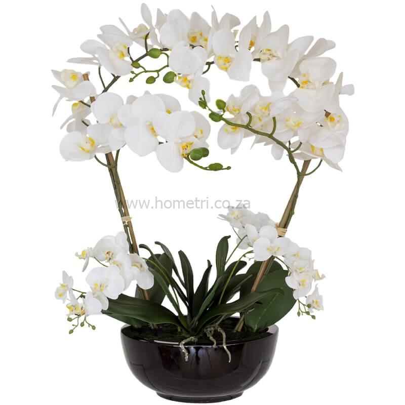 64cm Artificial White Orchid