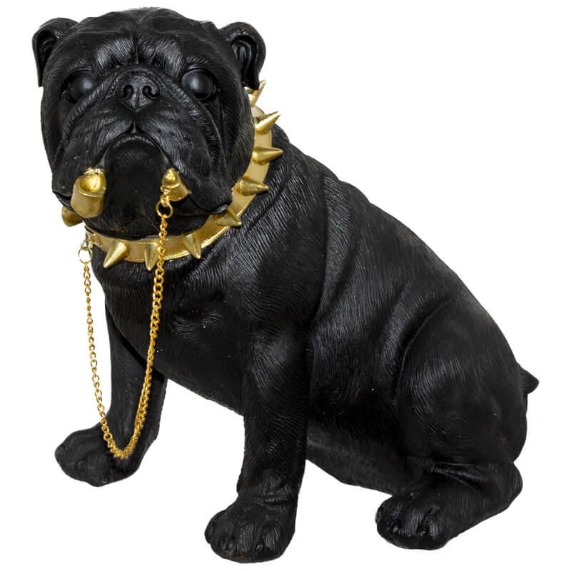 Bull Dog in Chain